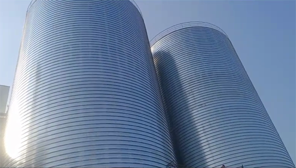 中江2座混凝土高架卷板仓